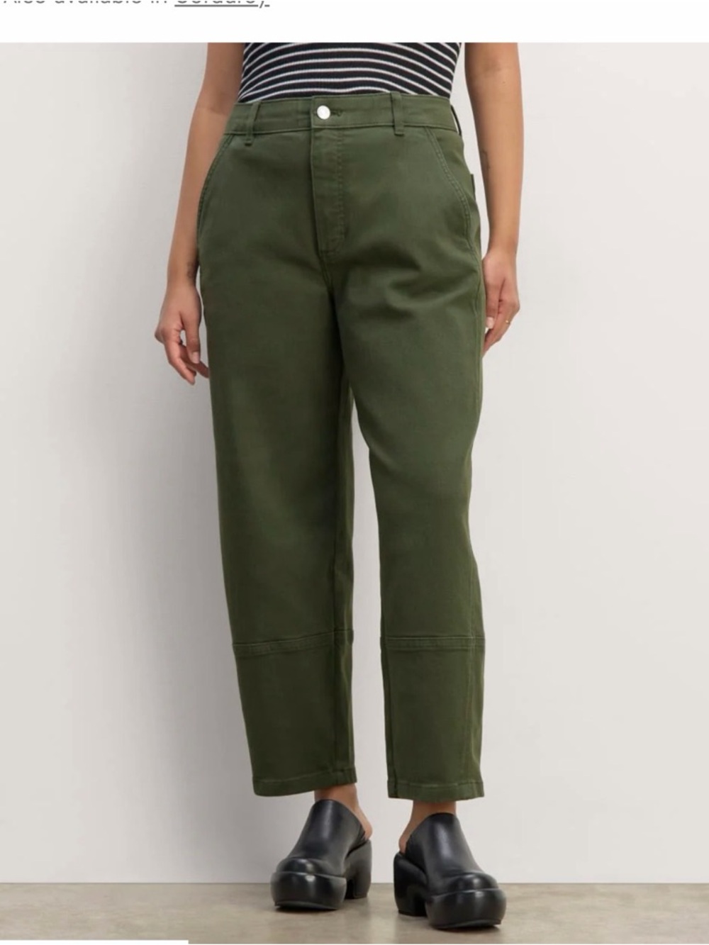 Everlane Utility Barrel in Forrest Green
